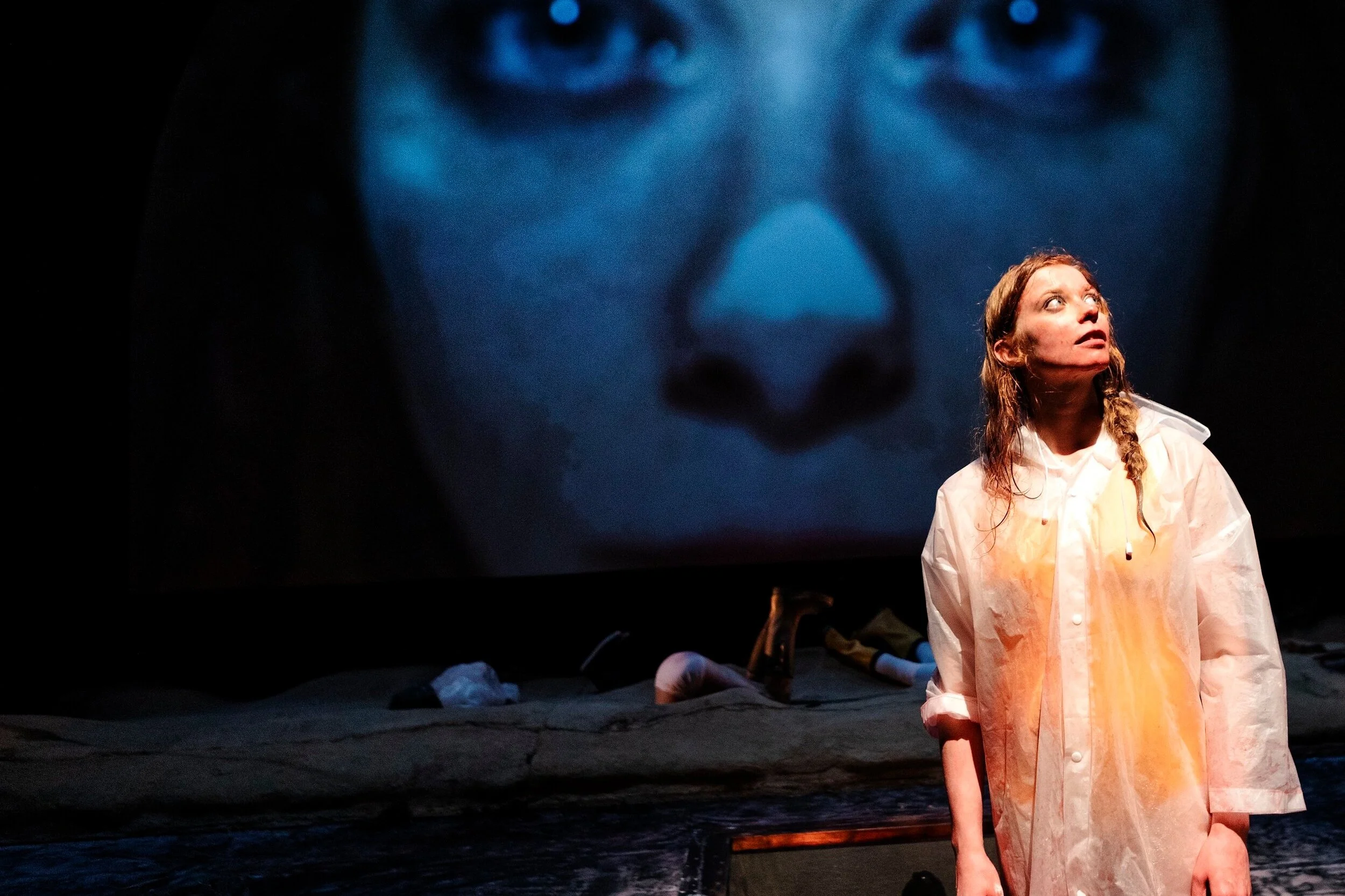 Shakespeare's Last Play — Dead Centre
